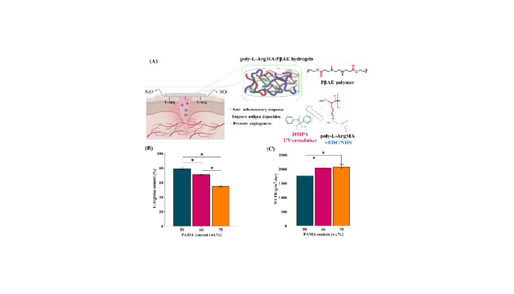Co-release of nitric oxide and L-arginine from poly (β-amino ester)-based adhesive reprogram macrophages for accelerated wound healing and angiogenesis in vitro and in vivo آزادسازی همزمان اکسید نیتریک و ال آرژنین از پلی (β-آمینو استر) مبتنی بر ماکروفاژها را مجدداً با چسب برای بهبود تسریع ترمیم زخم و رگزایی در شرایط in vitro و in vivo شرکت دانش بنیان پیشگامان ترمیم و شفای پارس-پارس ترمیم