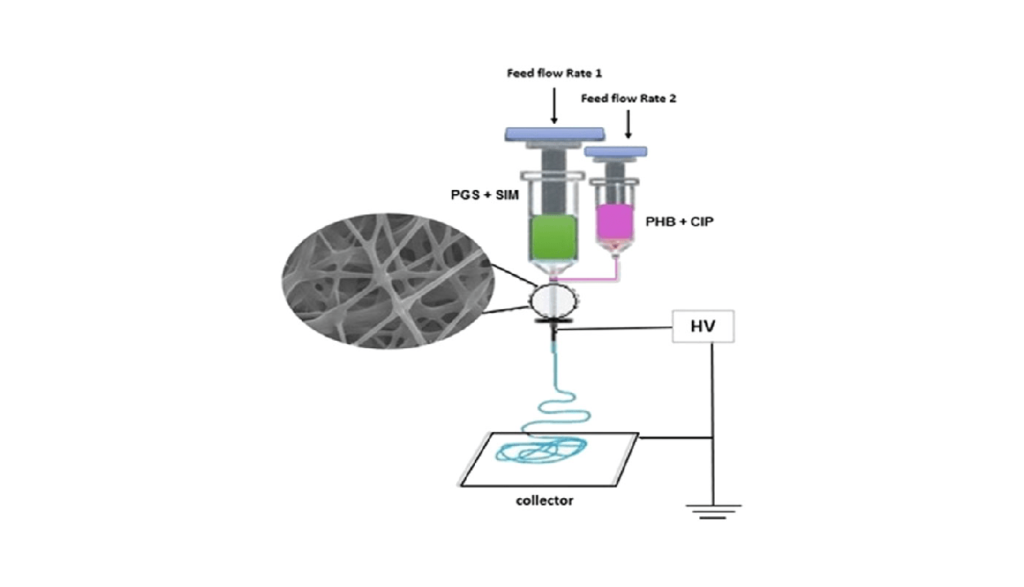 Preparation and evaluation of poly glycerol sebacate/poly hydroxy butyrate core‐shell electrospun nanofibers with sequentially release of ciprofloxacin and simvastatin in wound dressings تهیه و ارزیابی پلی گلیسرول سبکات/پلی نانوالیاف الکتروریسی شده با هسته هیدروکسی بوتیرات با آزادسازی متوالی سیپروفلوکساسین و سیمواستاتین در زخم پانسمان شرکت دانش بنیان پیشگامان ترمیم و شفای پارس-پارس ترمیم