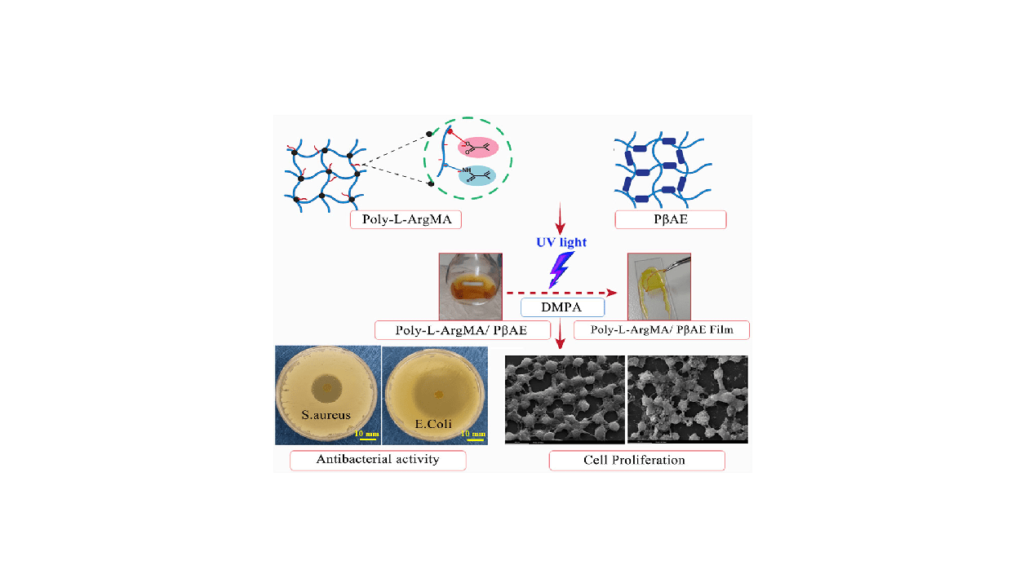 Antibacterial and pH-sensitive methacrylate poly-L-Arginine/poly (β-amino ester) polymer for soft tissue engineering آنتی باکتریال و حساس به pH متاکریلات پلی-ال-آرژنین/پلی پلیمر (β-آمینو استر) برای مهندسی بافت نرم خدمات شرکت دانش بنیان پیشگامان ترمیم و شفای پارس-پارس ترمیم