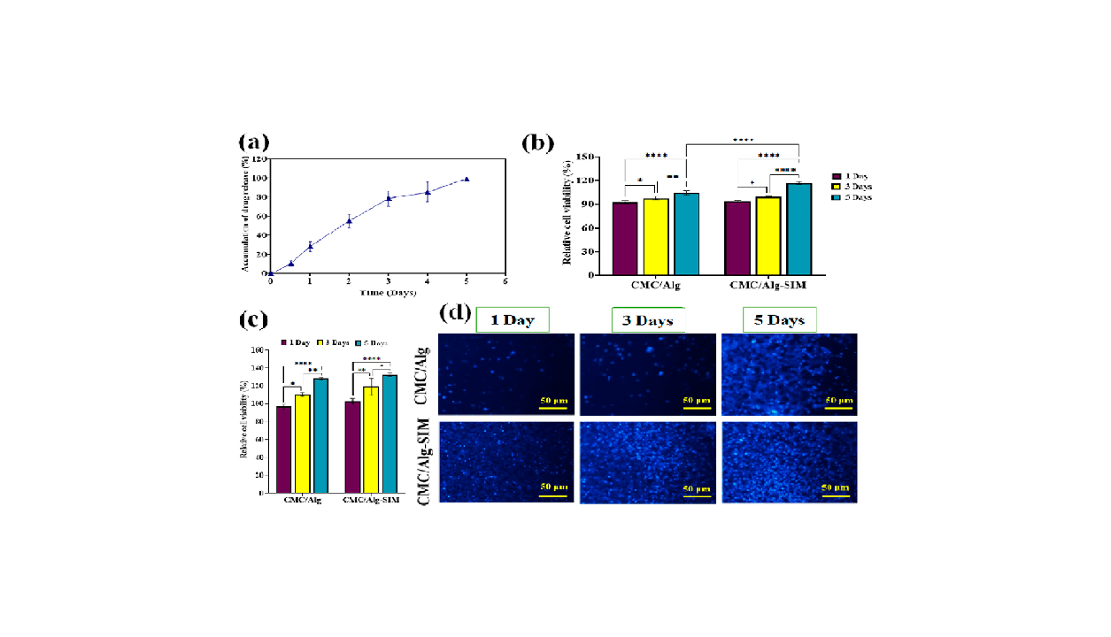 Carboxymethyl cellulose/sodium alginate hydrogel with anti-inflammatory capabilities for accelerated wound healing; In vitro and in vivo study هیدروژل کربوکسی متیل سلولز / سدیم آلژینات با ضد التهاب توانایی برای بهبود سریع زخم؛ مطالعه in vitro و in vivo شرکت دانش بنیان پیشگامان ترمیم و شفای پارس-پارس ترمیم