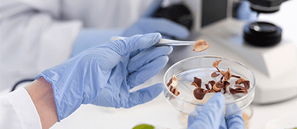 تولید زیست مواد تحقیقاتی شرکت دانش بنیان پیشگامان ترمیم و شفای پارس-پارس ترمیم