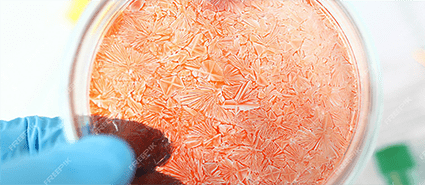 کشت سلول شرکت دانش بنیان پیشگامان ترمیم و شفای پارس-پارس ترمیم