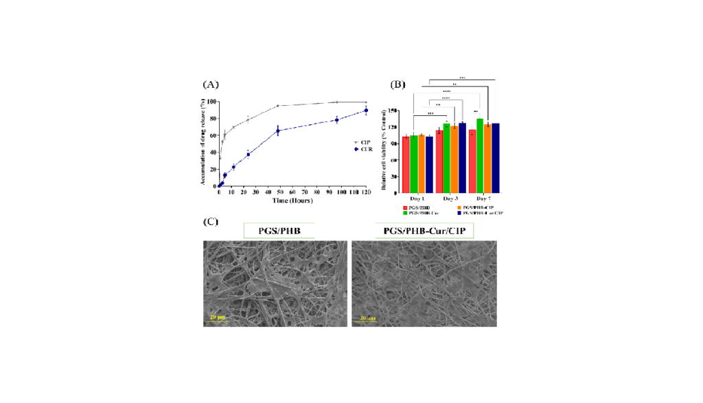 Sustained release investigation of curcumin and ciprofloxacin on coaxial electrospun nanocomposite scaffold of poly (3-hydroxybutyrate)-poly glycerol sebacate: an approach for skin regeneration بررسی رهایش پایدار کورکومین و سیپروفلوکساسین روی داربست نانوکامپوزیتی الکتروریسی کواکسیال پلی (3-هیدروکسی بوتیرات)-پلی گلیسرول سبکات: رویکردی برای بازسازی پوست شرکت دانش بنیان پیشگامان ترمیم و شفای پارس-پارس ترمیم